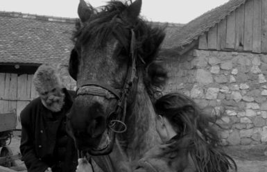 The Turin Horse (A torinói ló)