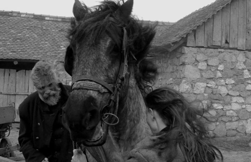 The Turin Horse (A torinói ló)