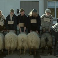 Rams