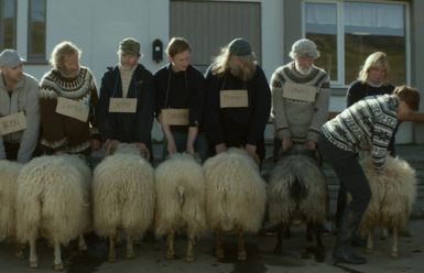 Rams