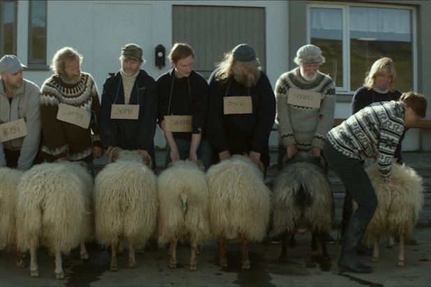 Rams