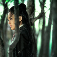 The Assassin