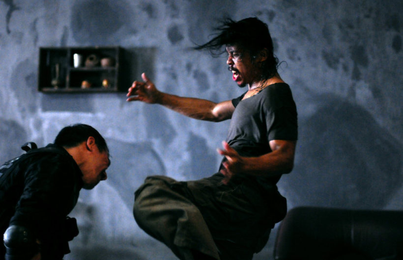 The Raid: Redemption