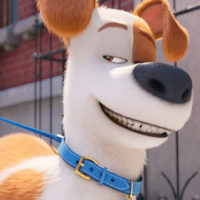 The Secret Life of Pets