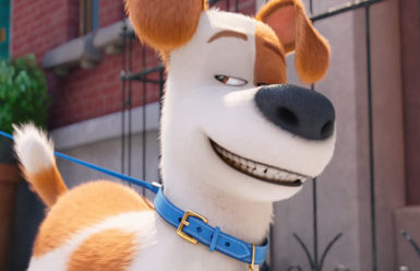 The Secret Life of Pets